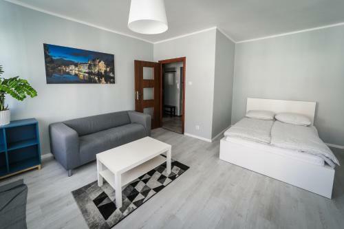 Silver Vision Apartment - Rynek Opole Eksteriør billede